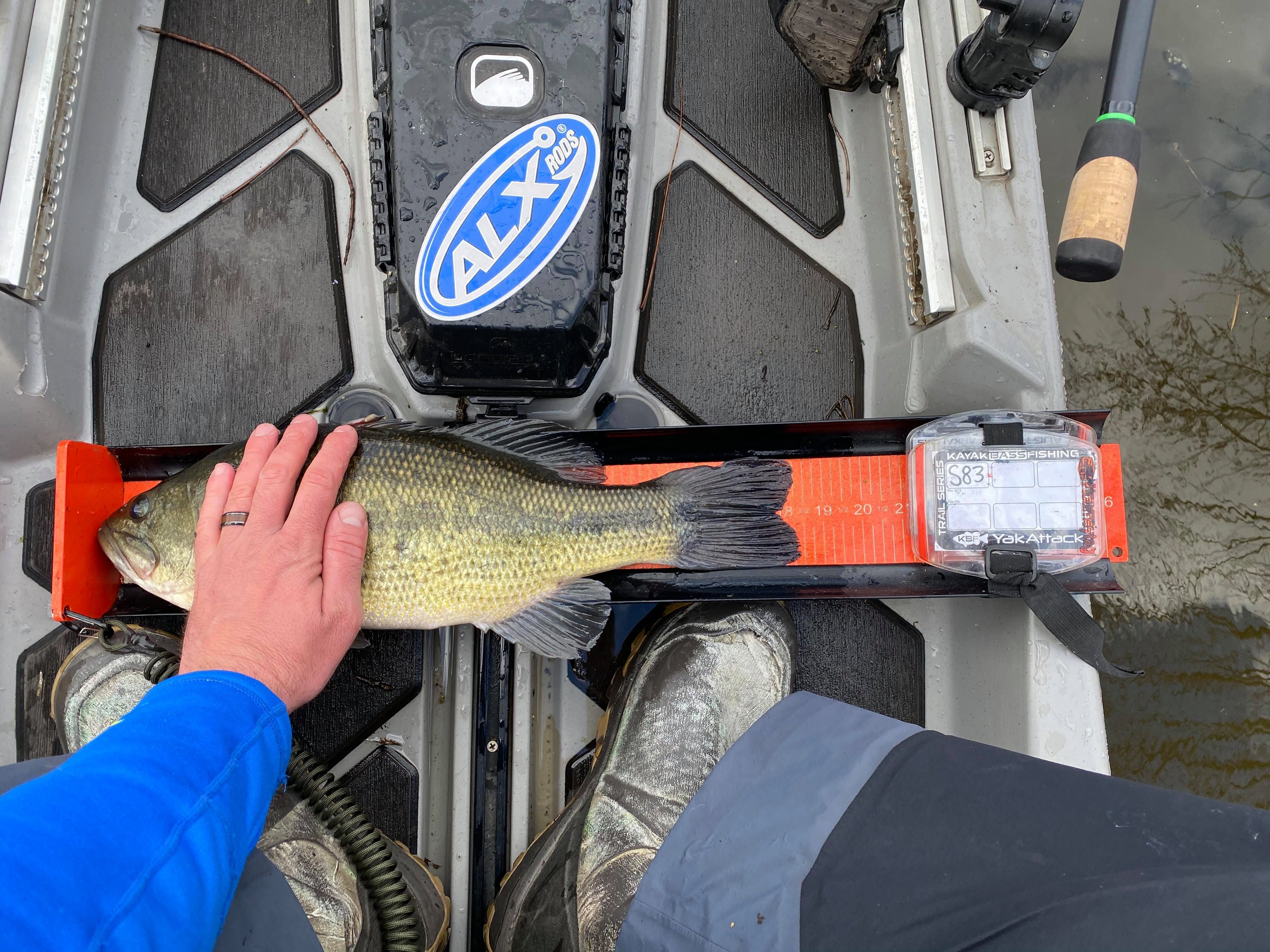 Bass being measured on a Ketch board from a Bonafide SS127 fishing kayak