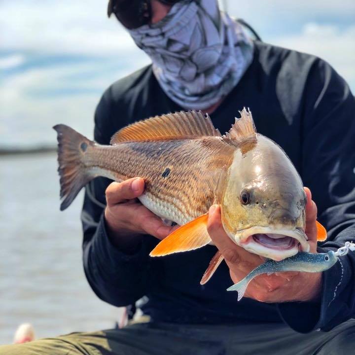 redfish in north east florida