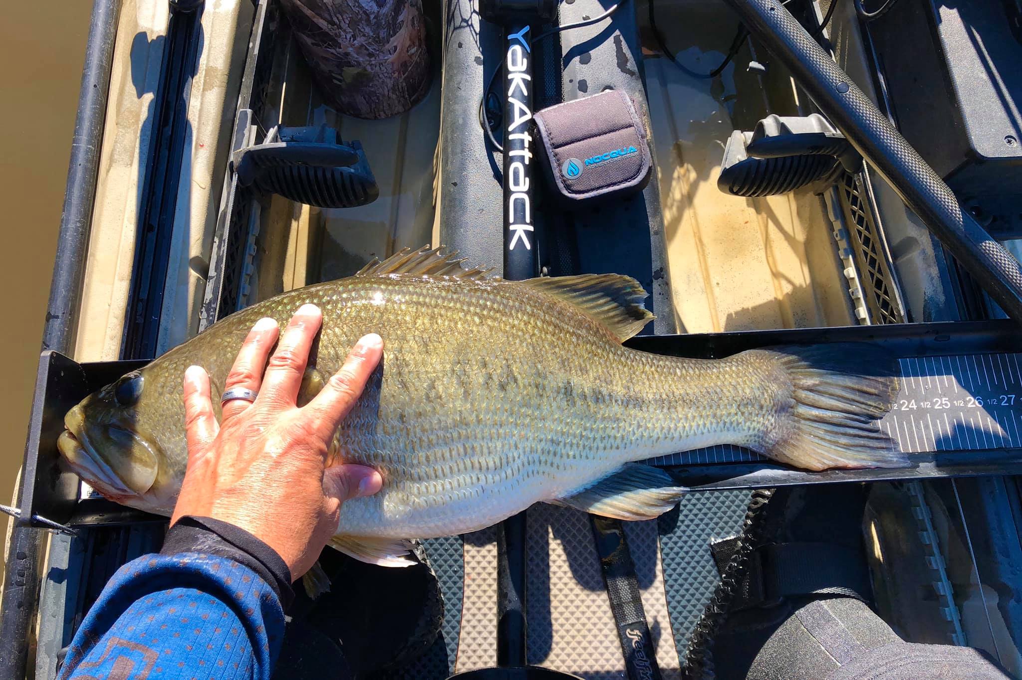 Big Virginia Bass Caught by Eric