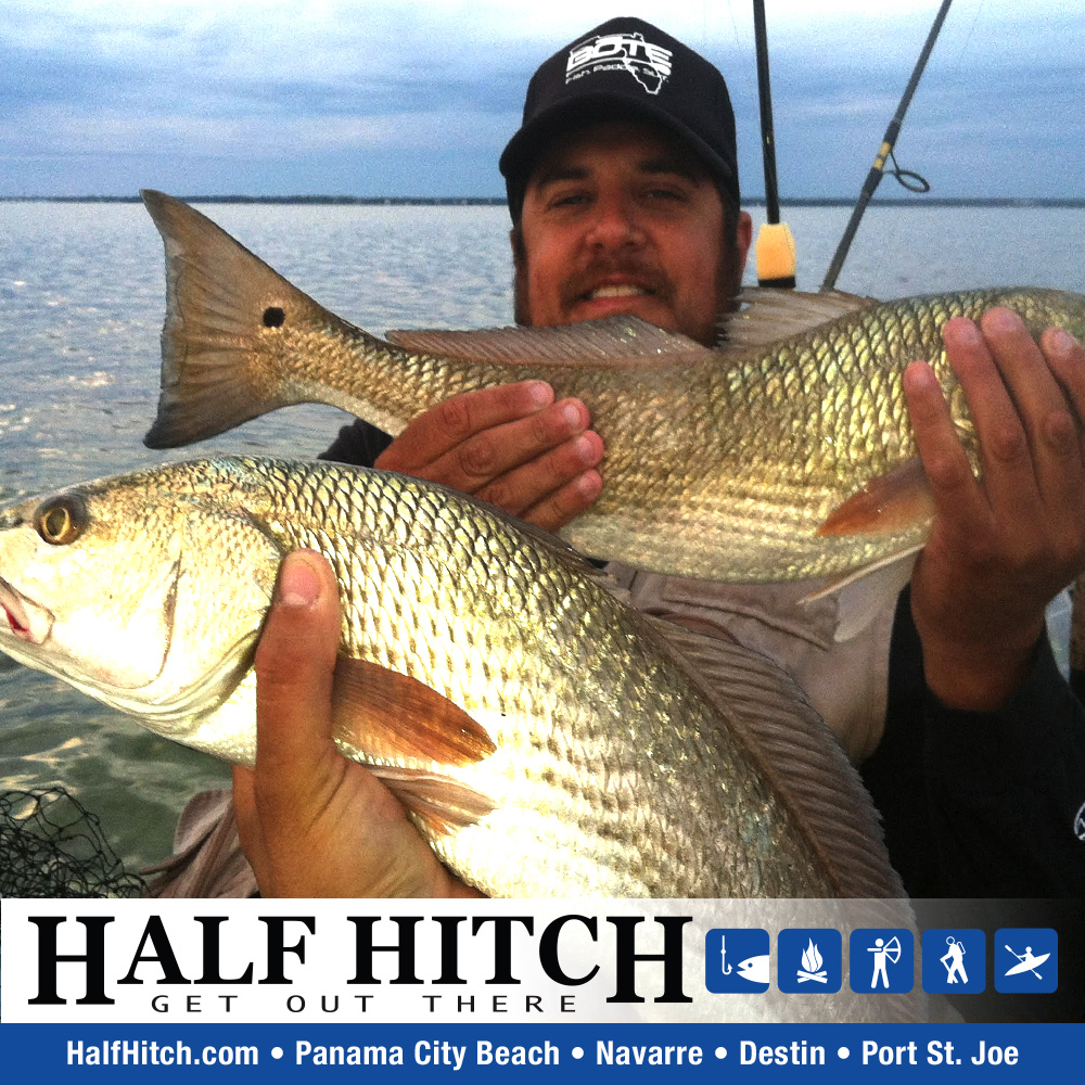 YakAttack - Half Hitch Red Fish 