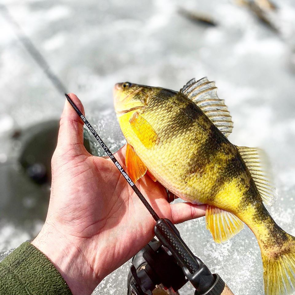 Ice fishing for perch in Wisconsin